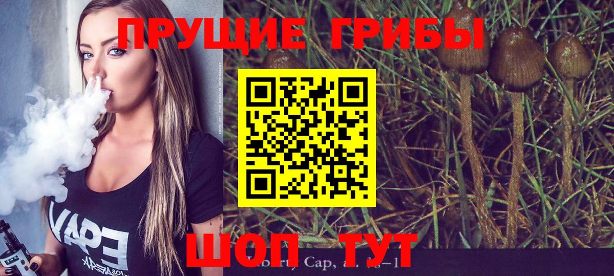 Галлюциногенные грибы прущие грибы Кинель