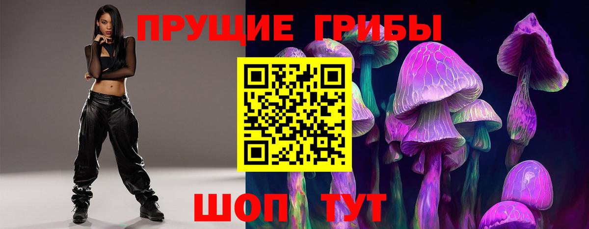 Кинель  Псилоцибиновые грибы мицелий  Вход с VPN  Псилоцибиновые грибы Psilocybine cubensis 